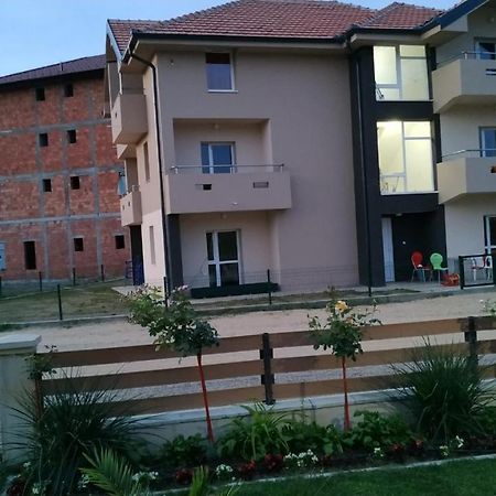 Srebrna Nit Apartamento Veliko Gradište Exterior foto